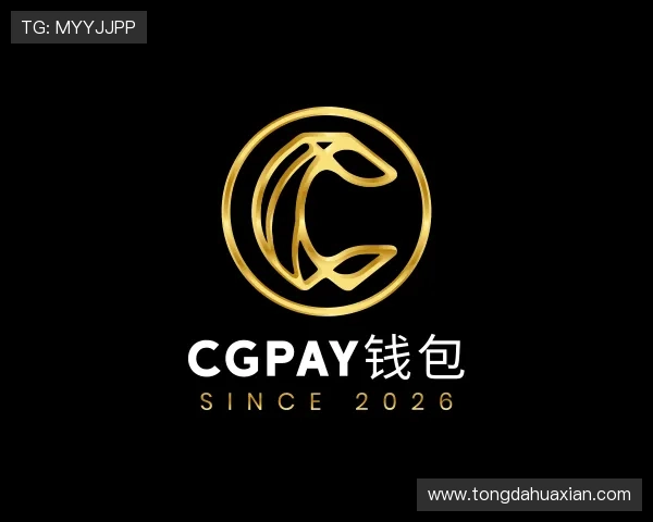 介绍CGPay